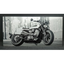 Photo Aluminium - Gravure Laser -