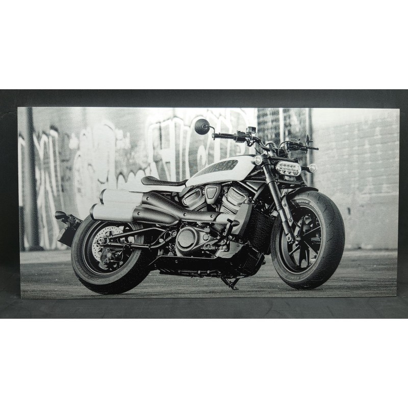 Photo Aluminium - Gravure Laser -